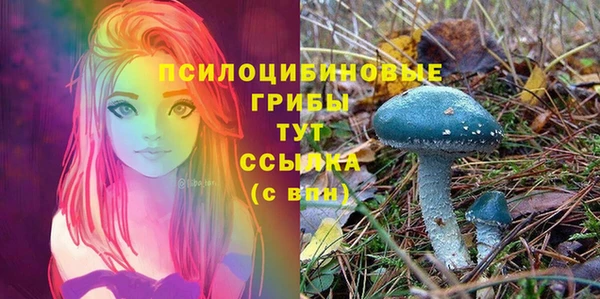 прущий лед Козельск