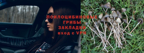 гашиш Кодинск
